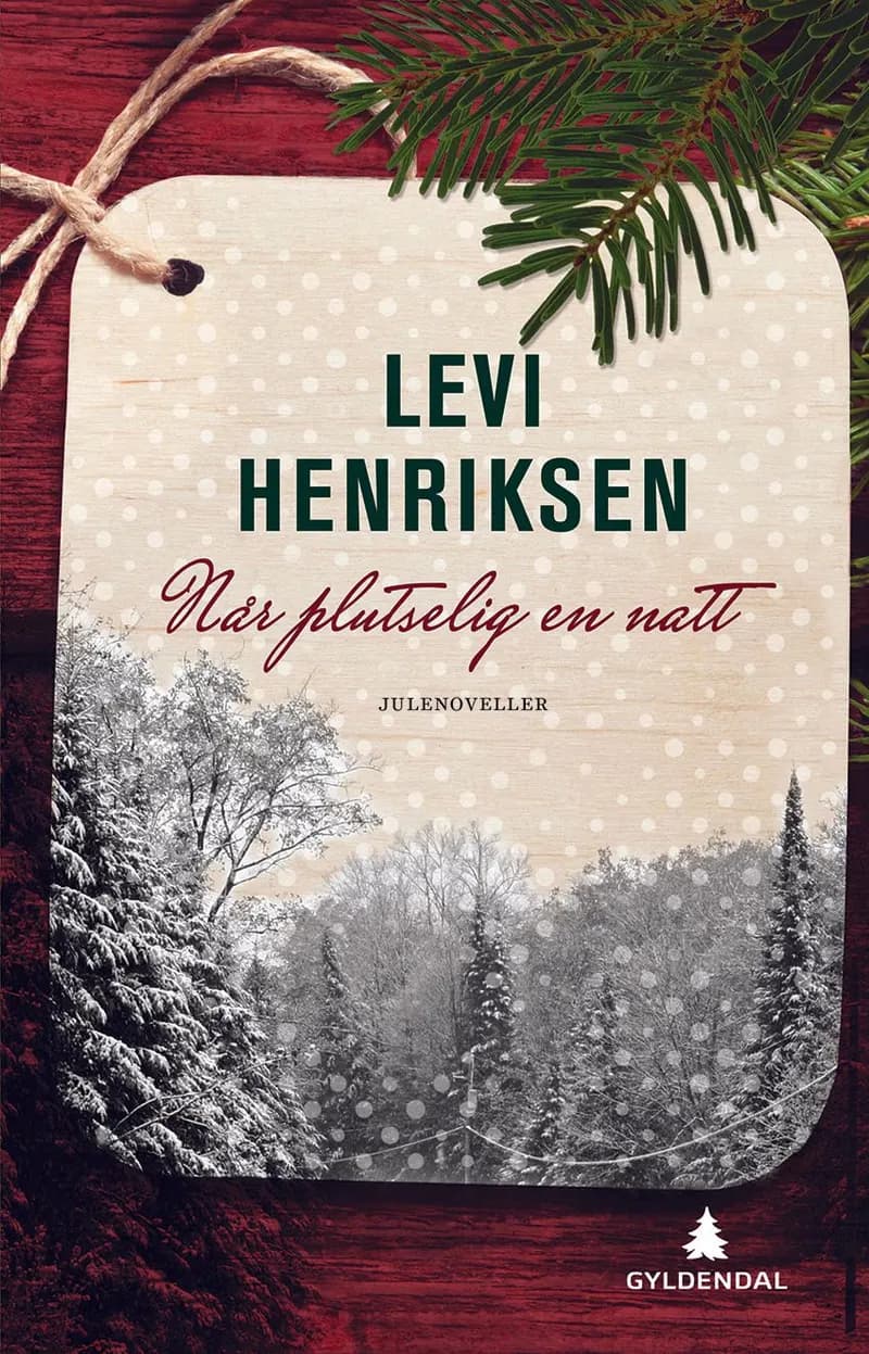 Omslaget til Når plutselig en natt